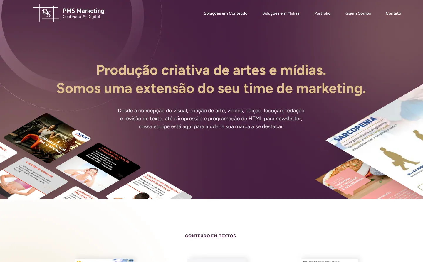 PMS Marketing, tela 4